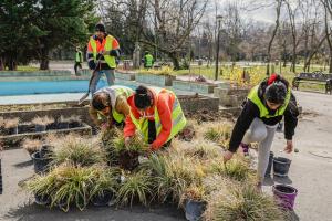 Peste 3.500 de ghivece cu flori, plantate &icirc;n Parcul Herăstrău