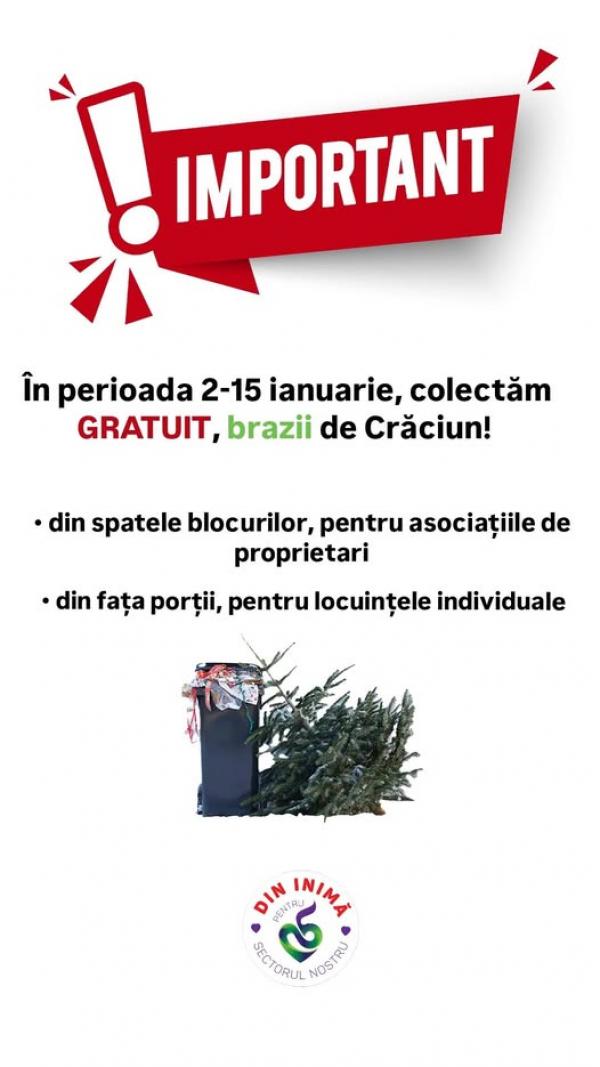 Brazii de Crăciun, colectați gratuit de Primăria Sectorului 5