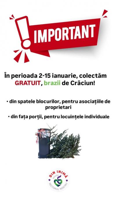 Brazii de Crăciun, colectați gratuit de Primăria Sectorului 5