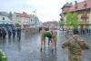 Brașov. Recunoştinţă Eternă Eroilor Neamului