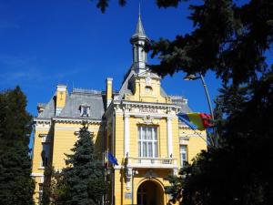 Datoria istorică a municipiului Botoșani către lichidatorul Termica va fi achitată cu sprijinul Guvernului