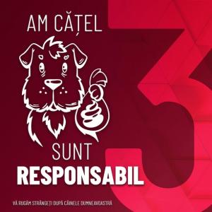 Propietarii de animale care nu curăță dejecțiile din spațiul public, amendați