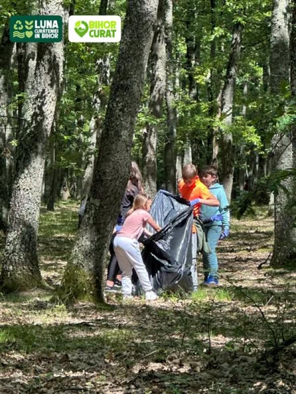 Elevii bihoreni, câștigători ai concursului ,,Bihor Curat” – ediția 2025