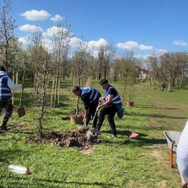 SECTORUL 5 &icirc;nflorește cu ajutorul celor mici!