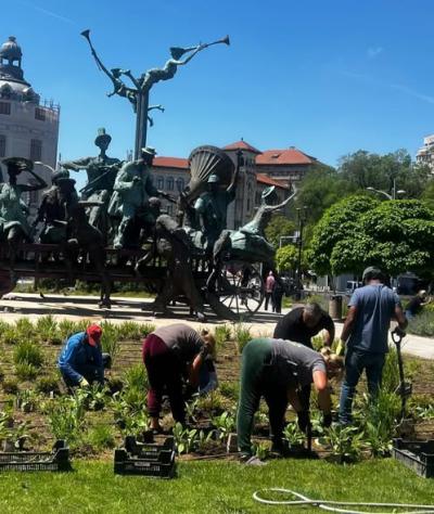 Se refac spațiile verzi din București